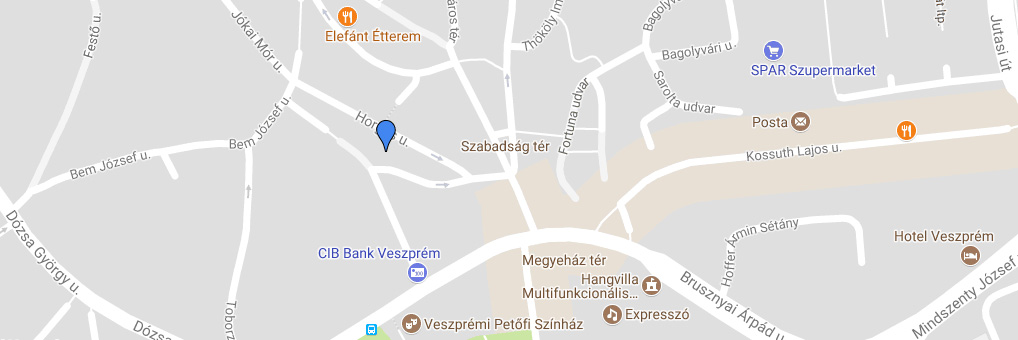 Google Térkép
